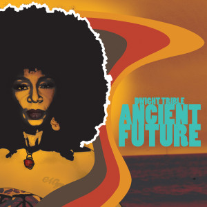 Listen to Black Dance song with lyrics from Dwight Trible
