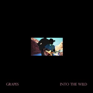Album Into The Wild oleh Grapes
