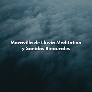 Album Maravilla De Lluvia Meditativa Y Sonidos Binaurales from Lista de reproducción de música de meditación