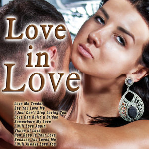 อัลบัม Love in Love ศิลปิน Various Artists