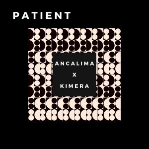 ดาวน์โหลดและฟังเพลง Patient พร้อมเนื้อเพลงจาก Ancalima