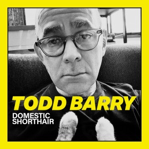 Listen to Pricey Glasses song with lyrics from Todd Barry