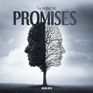 Listen to Promises (Extended Mix) song with lyrics from NoVinum