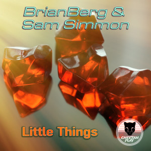 Album Little Things (Edit) from BrianBerg