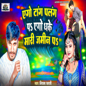 Listen to Ago Tang Palang Par Ago Dhake Mari Jamin Par song with lyrics from Nirala Bharti