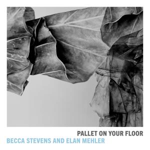 อัลบัม Pallet on Your Floor ศิลปิน Becca Stevens