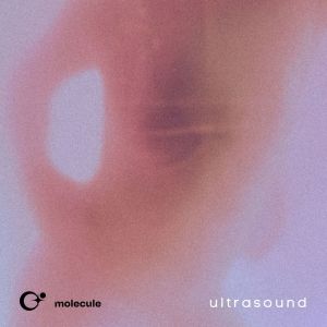 Listen to small bump song with lyrics from Molecule