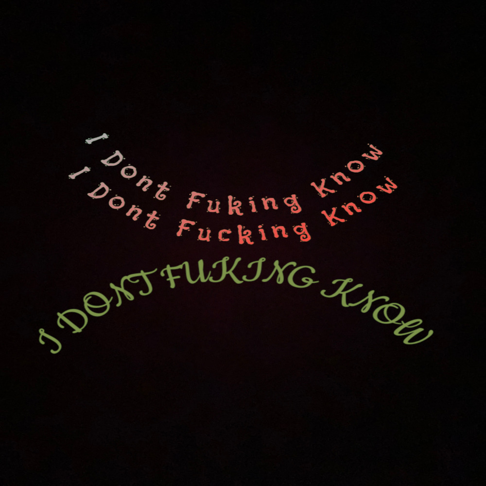 I Dont Fucking Know (Explicit)
