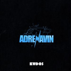 Listen to Adrenavin 2023 (Hjemmesnekk) (Explicit) song with lyrics from Kudosss