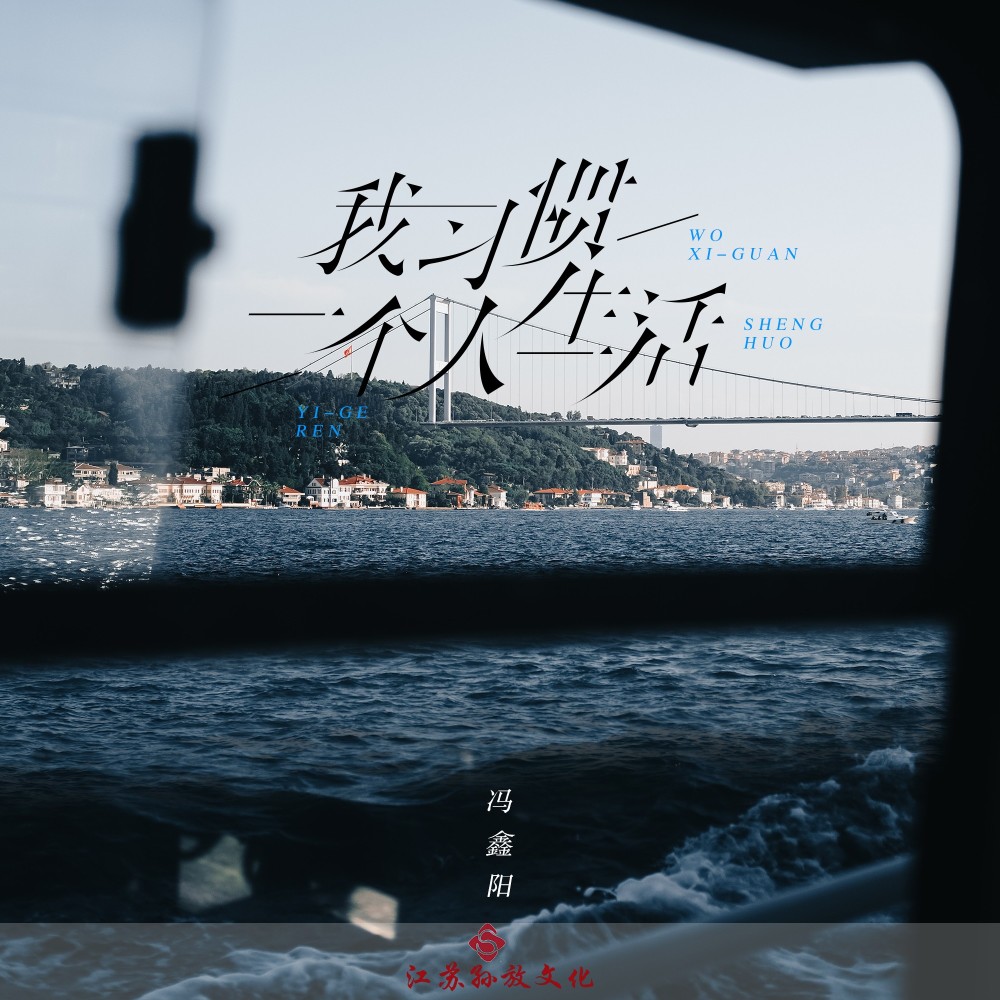 我习惯一个人生活 (伴奏)