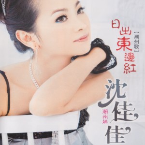 ดาวน์โหลดและฟังเพลง 一生甘願為你錯 พร้อมเนื้อเพลงจาก 沈佳佳