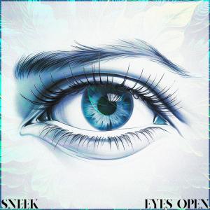 Sneek的專輯EYES OPEN