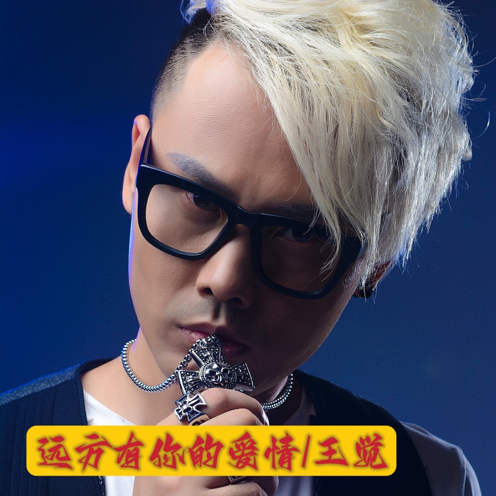 远方有你的爱情（DJ佐罗） (伴奏)