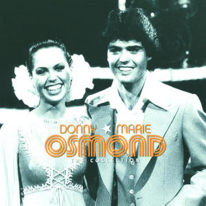 ดาวน์โหลดและฟังเพลง Puppy Love พร้อมเนื้อเพลงจาก Donny Osmond