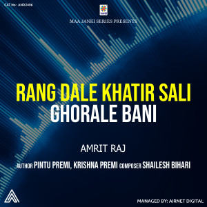 Dengarkan lagu Rang Dale Khatir Sali Ghorale Bani nyanyian Amit Rai dengan lirik
