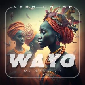 收聽Dj Stretch的WAYO (AFRO HOUSE)歌詞歌曲