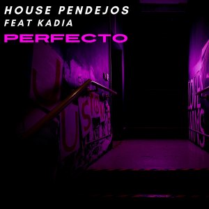 Listen to Perfecto song with lyrics from House Pendejos