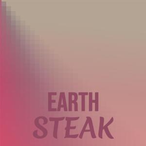 อัลบัม Earth Steak ศิลปิน Various