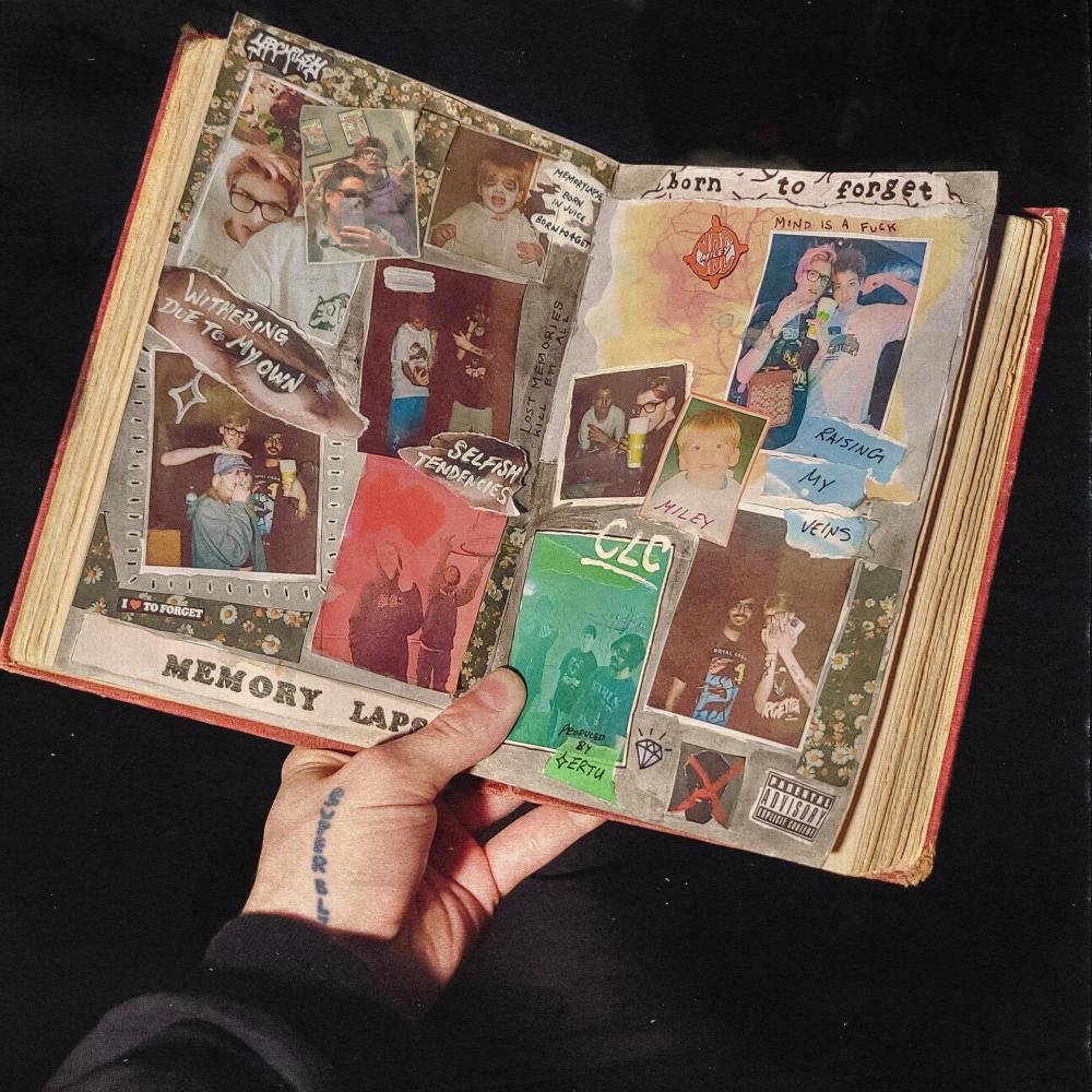 RAISING MY VEINS (Explicit)