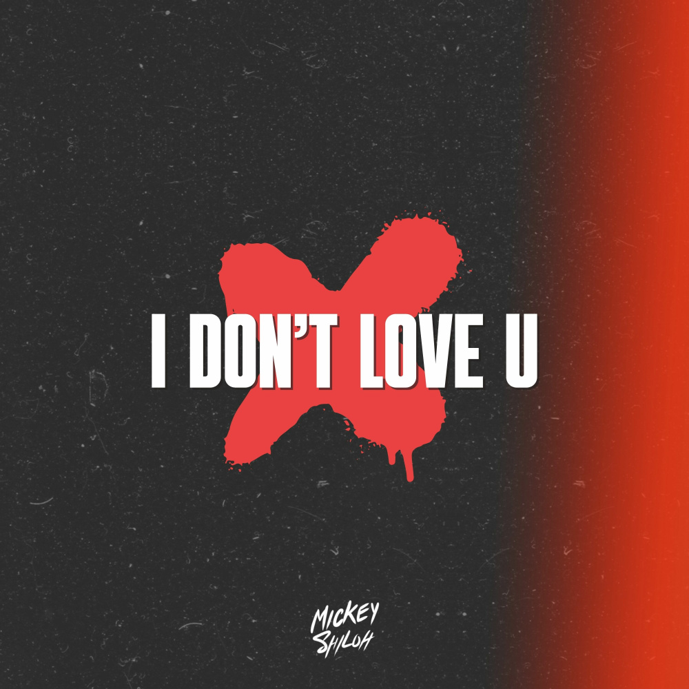 I Don't Love U (Explicit)