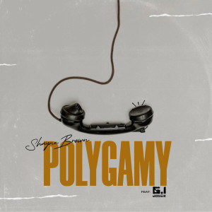 Listen to Polygamy (Explicit) song with lyrics from Shayne Brown