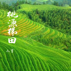 Listen to 桃源梯田 song with lyrics from 小曾