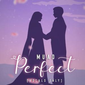 ดาวน์โหลดและฟังเพลง Perfect (Vocals Only) พร้อมเนื้อเพลงจาก Muad