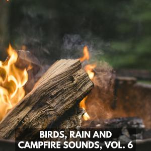 Various Artists的專輯Birds, Rain and Campfire Sounds, Vol. 6