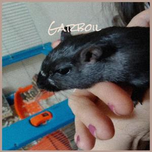 อัลบัม Garboil ศิลปิน Various