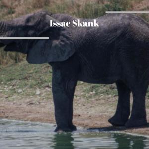 收聽Fier Jasser的Issac Skank歌詞歌曲