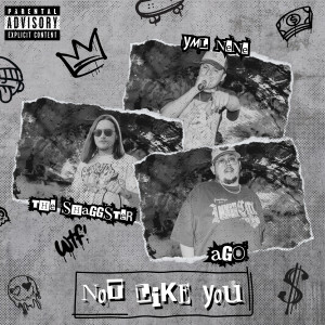 Listen to Not Like You (Explicit) song with lyrics from The Shaggster