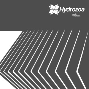 Listen to Vacuum (Original Mix) song with lyrics from Aardy