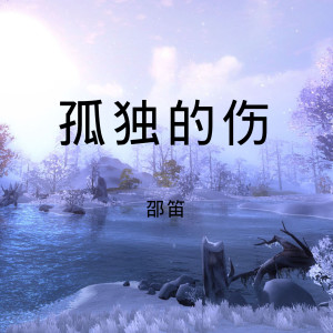 收听邵笛的孤独的伤歌词歌曲