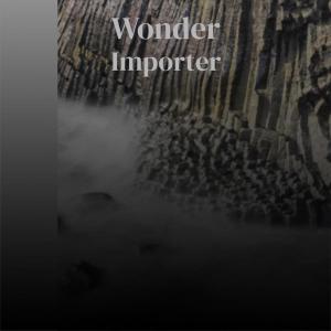 Album Wonder Importer oleh Various Artists