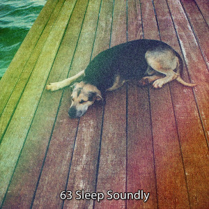 Album 63 Sleep Soundly from Healing Music