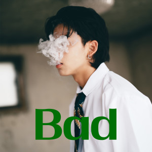 Album Bad guy from 