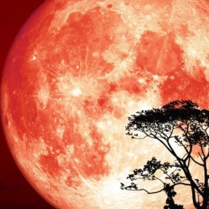 收聽snoozegod的Trance (hunters moon) (Explicit)歌詞歌曲