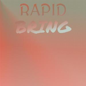 Various Artists的專輯Rapid Bring