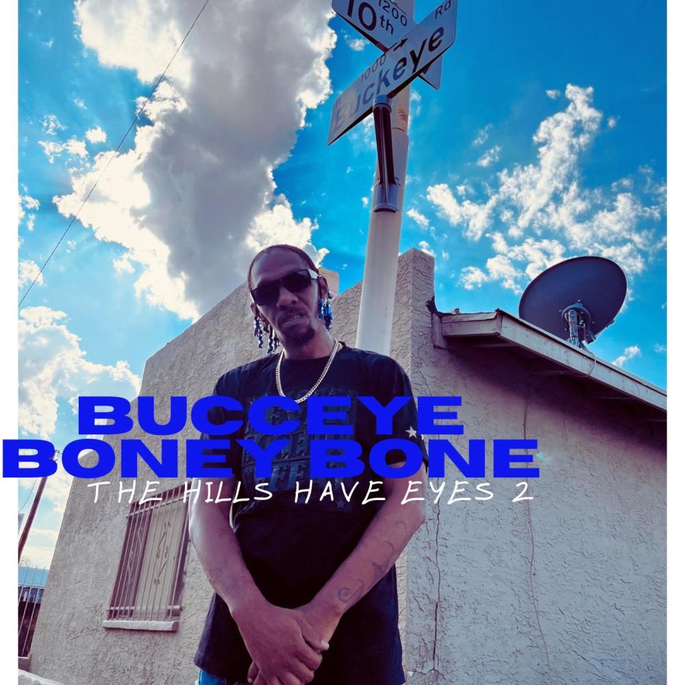SOMETHIN LIKE A BOSS (Explicit)