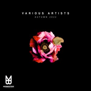 ดาวน์โหลดและฟังเพลง Glorious Mess (Original Mix) พร้อมเนื้อเพลงจาก Audioleptika
