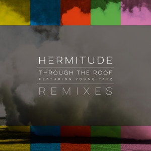 Through the Roof (Remixes) (Explicit)