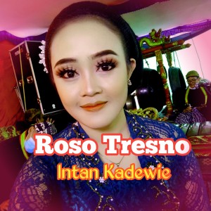 Album Roso Tresno from Intan Kadewie