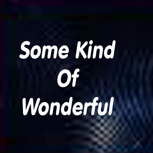 ดาวน์โหลดและฟังเพลง Some Kind of Wonderful พร้อมเนื้อเพลงจาก Joel Diamond