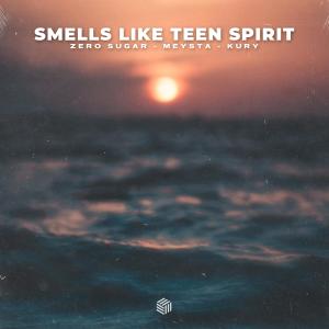 Listen to Smells Like Teen Spirit song with lyrics from ZERO SUGAR