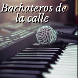 Album Bachateros de la Calle from 