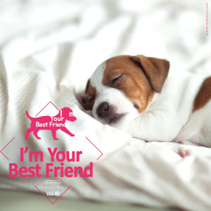 Dengarkan Burgmuller : 18 Etudes Op.109 - I. Confidence lagu dari I'm Your Best Friend dengan lirik