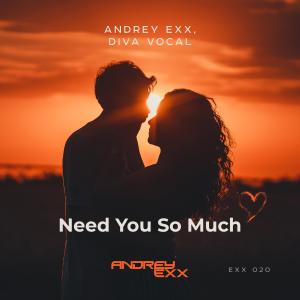 Andrey Exx的專輯Need You So Much