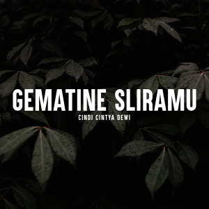 ดาวน์โหลดและฟังเพลง Gematine Sliramu พร้อมเนื้อเพลงจาก Cindi Cintya