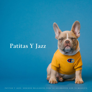 Patitas Y Jazz: Sonidos Relajantes Para La Acurrucos Con Tu Mascota dari Cafetería Jazz Piano Escalofriante