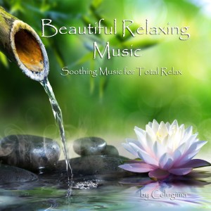 Beauiful relaxing music (Soothing music for total relax)